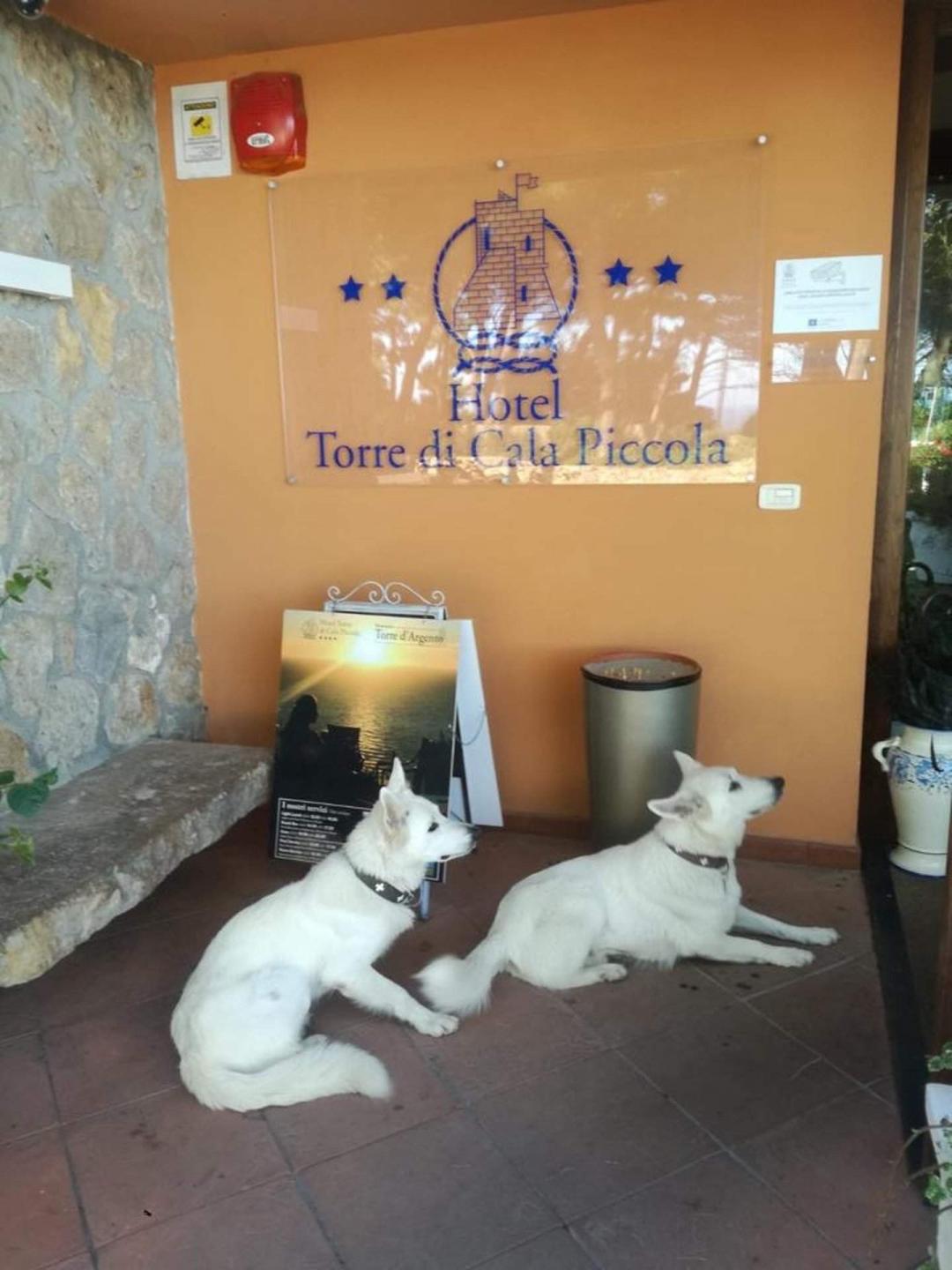 pet-friendly-boutique-hotel-torre-di-cala-piccola